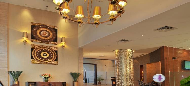 萨诺瓦波蒂科莫耶蒂克科特酒店(Majestic Court Sarovar Portico)图片