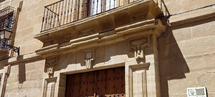 加尔西纳洛伯爵宫民宿(Casa Palacio Conde de Garcinarro)图片