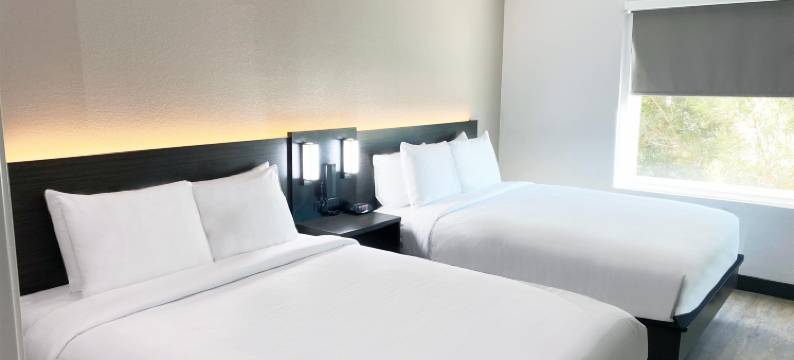 Hawthorn Extended Stay by Wyndham Hobbs图片