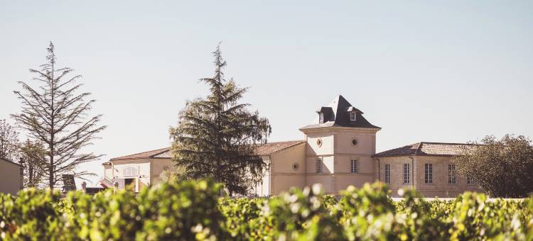 拉菲特卡卡塞城堡(Château Laffitte Carcasset)图片