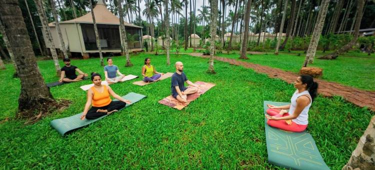 希普诺提克果阿 - 私人泳池小屋(Hipnoetic Goa -Private Pool Cottages)图片