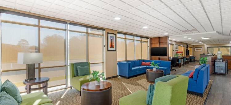 布伦瑞克舒适酒店(Comfort Suites Brunswick)图片