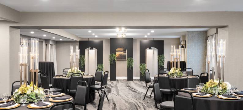 卡尔加里机场假日酒店(Holiday Inn CALGARY-AIRPORT by IHG)图片