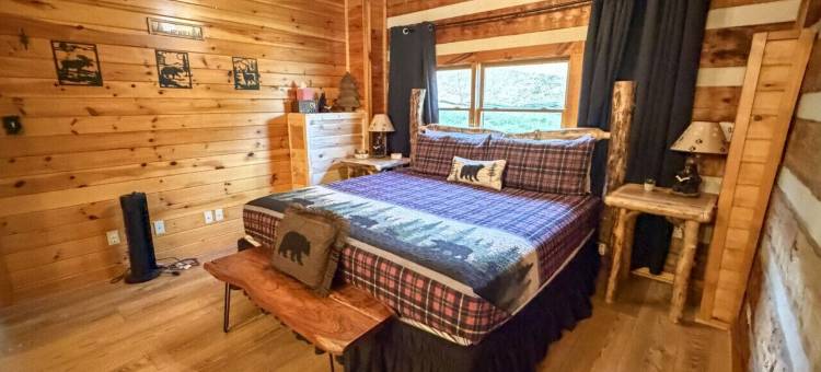 Boujee Bear- 现代化小木屋，距离多莉山主题公园仅数分钟(Mins to Dollywood Renovated Boujee Bear Cabin)图片