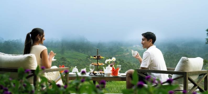 Aadya 茶庄园 by Aahaasa(Aadya Tea Bungalow by Aahaasa)图片