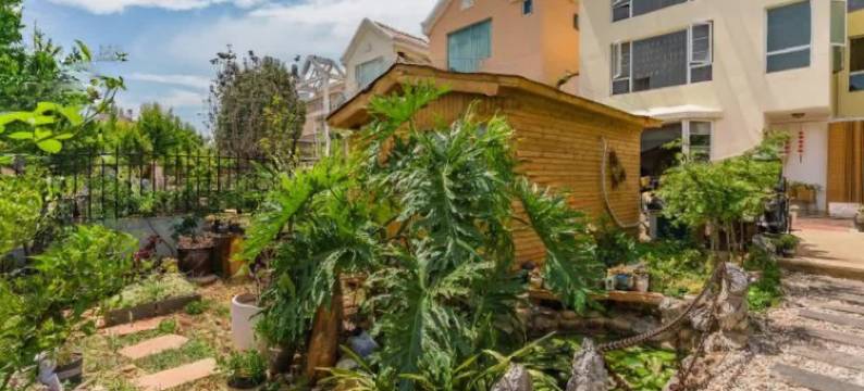 昆明滇池悦途民宿(海埂大坝店)图片