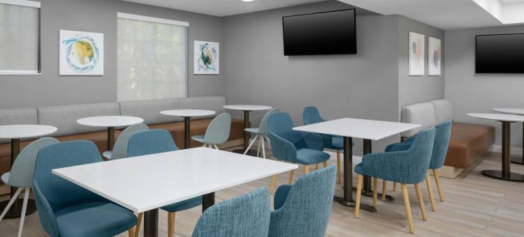 劳德代尔堡韦斯顿万豪TownePlace Suites酒店(TownePlace Suites Fort Lauderdale Weston)图片