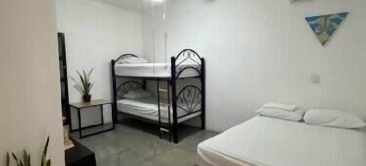 冲浪巢旅舍(SurfNest Hostel)图片
