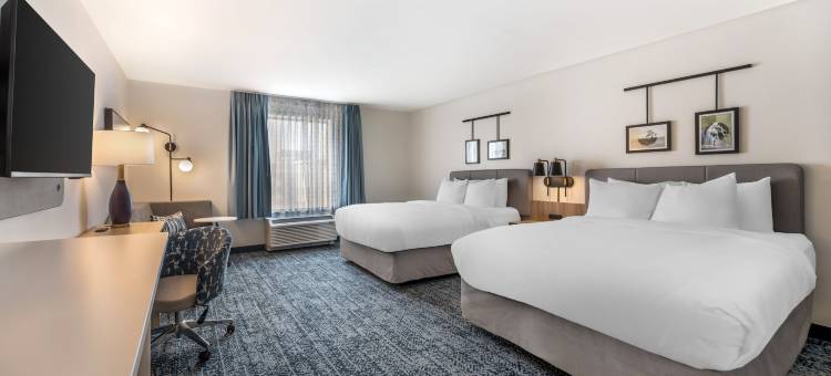 舒眠旅馆及套房哈里斯堡机场 - 赫尔希南部(Sleep Inn & Suites Harrisburg Airport - Hershey South)图片