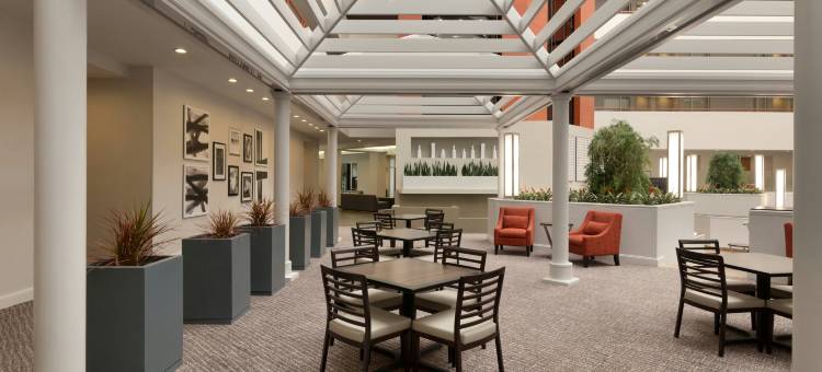 巴尔的摩华盛顿国际机场希尔顿大使套房酒店(Embassy Suites by Hilton Baltimore at BWI Airport)图片