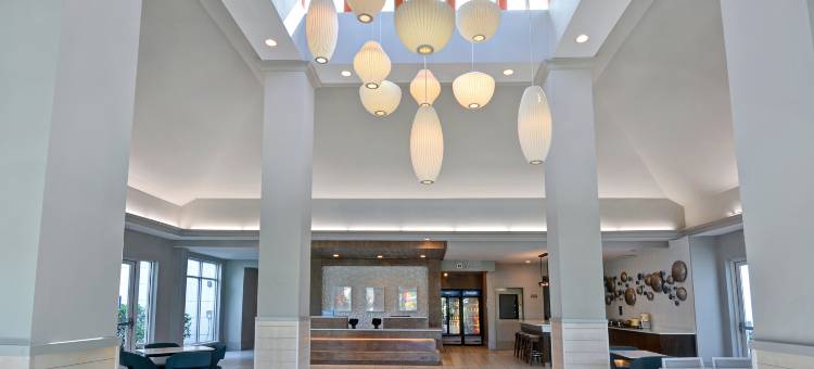 希尔顿花园旅馆-杰克逊维尔橘园(Hilton Garden Inn Jacksonville Orange Park)图片