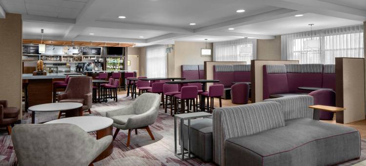 底特律布莱顿万怡酒店(Courtyard Detroit Brighton)图片