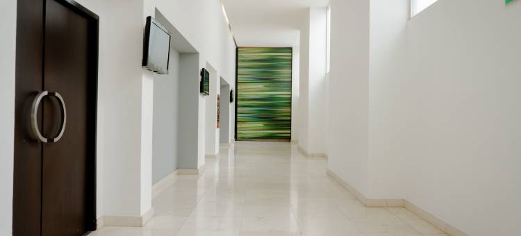 特皮克嘉年华酒店(Fiesta Inn Tepic)图片