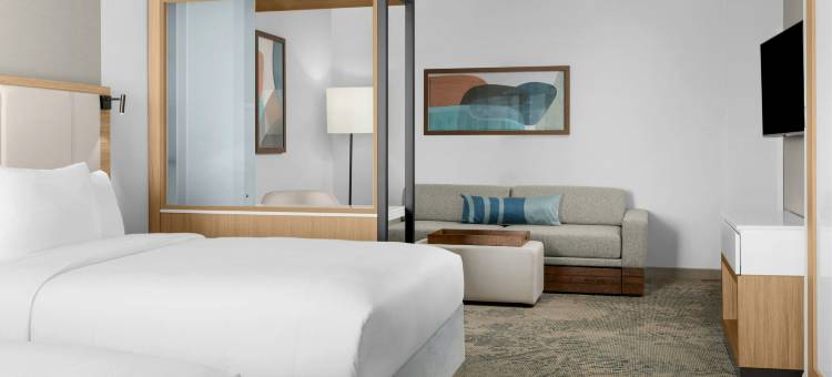 格兰德艾兰SpringHill Suites酒店(SpringHill Suites Grand Island)图片
