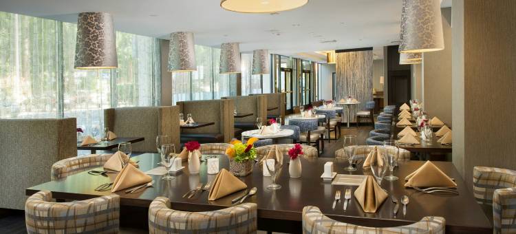 Skybridge西雅图机场酒店(Skybridge Seattle Airport Hotel)图片