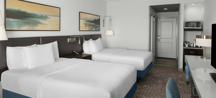 希尔顿花园酒店-圣马科斯(Hilton Garden Inn San Marcos)图片