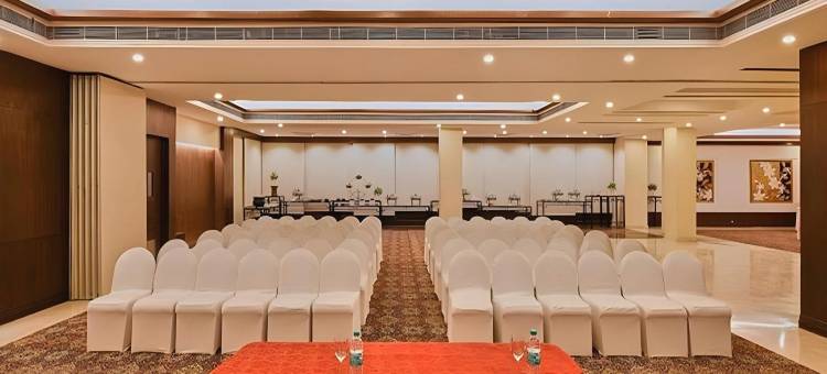 德里NCR金翅雀酒店(Goldfinch Hotel Delhi NCR)图片