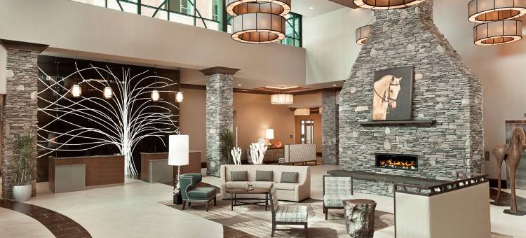 萨拉托加泉安泊套房酒店(Embassy Suites by Hilton Saratoga Springs)图片