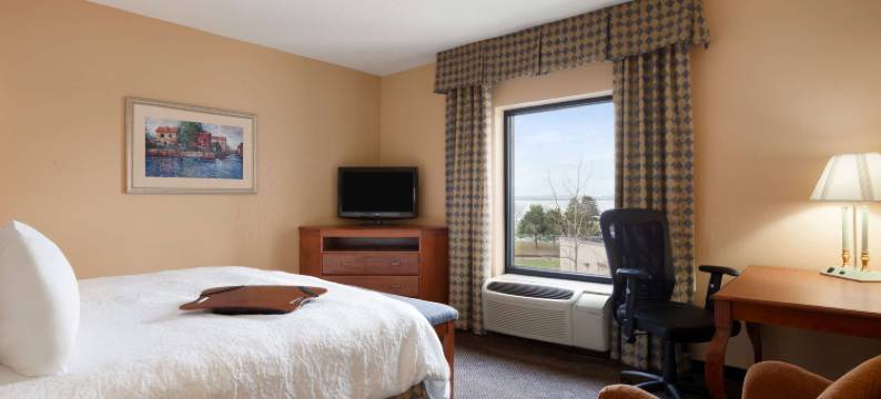 杰尼瓦欢朋酒店(Hampton Inn Geneva)图片