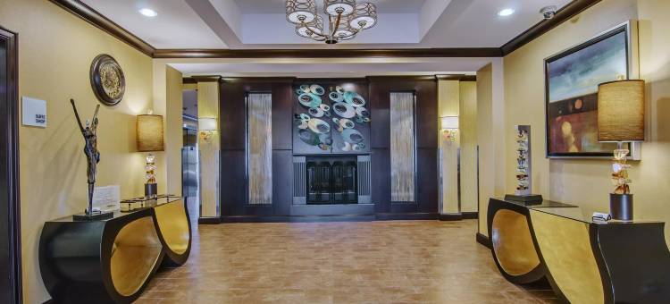 维斯维尔智选假日套房酒店(Holiday Inn Express & Suites WYTHEVILLE by IHG)图片