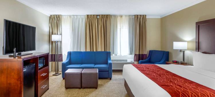 绍姆堡霍夫曼庄园舒适酒店(Comfort Inn Hoffman Estates - Schaumburg)图片