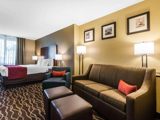 舒适套房酒店-坦帕机场北