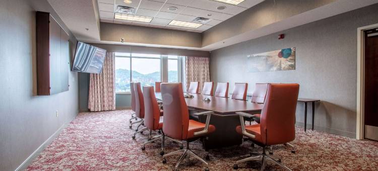 曼凯托希尔顿花园酒店(Hilton Garden Inn Mankato Downtown)图片
