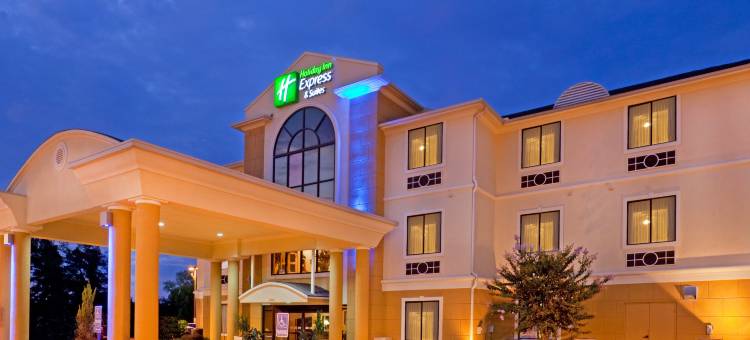 智选假日套房酒店芒特普莱森特(Holiday Inn Express & Suites Mount Pleasant)图片