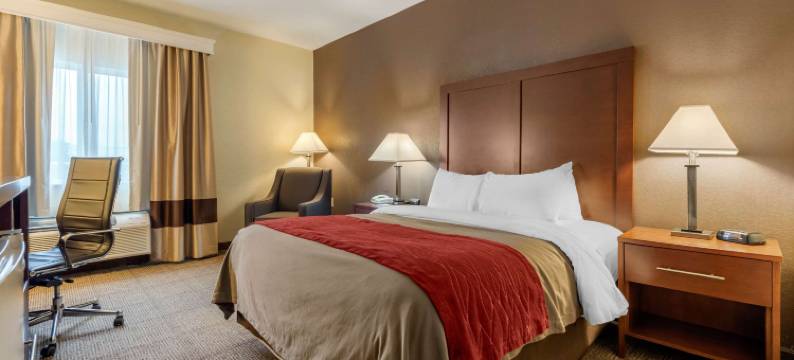 沃伦 I-69 舒适酒店(Comfort Inn Warren I-69)图片