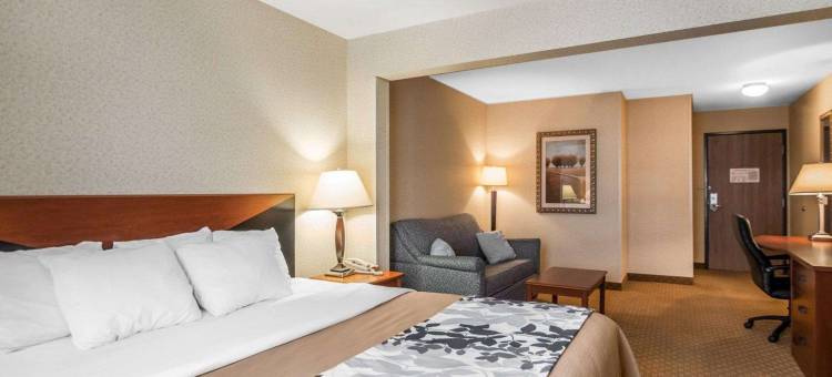 罗德威套房旅馆(Rodeway Inn & Suites)图片