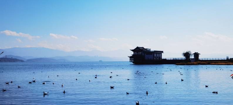 要有花客栈图片