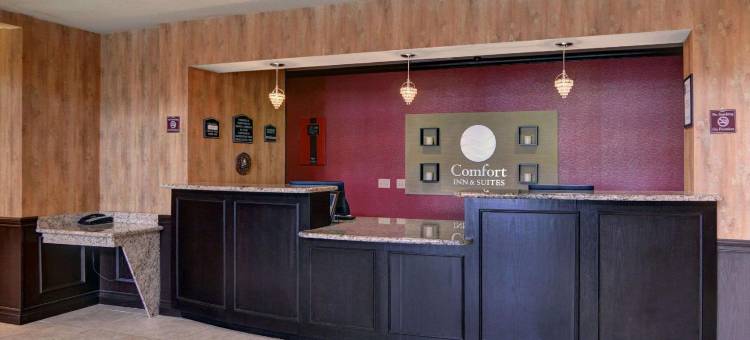 路易斯维尔湖滨舒适套房酒店(Comfort Inn & Suites Near Lake Lewisville)图片