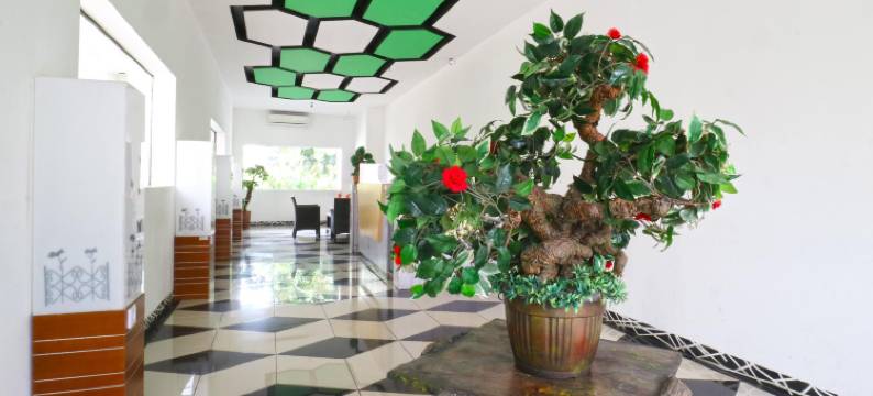 哈比巴伊斯兰酒店(Habibah Syariah Hotel)图片