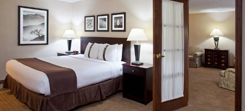 Holiday Inn 广(BELDEN村)(Holiday Inn CANTON (BELDEN VILLAGE) by IHG)图片