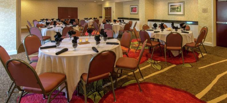 美世大学希尔顿花园酒店(Hilton Garden Inn Macon / Mercer University)图片