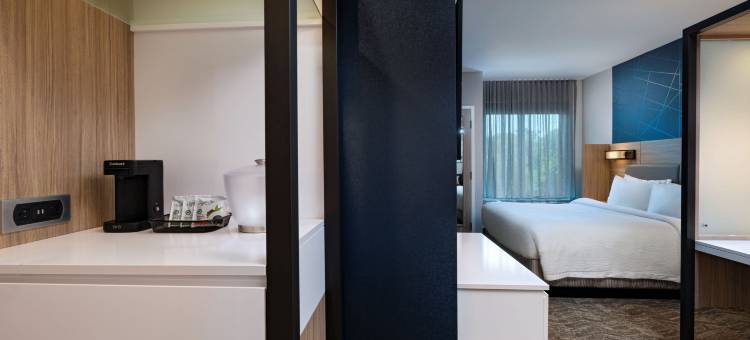 Marriott Austin North的SpringHill套房(SpringHill Suites by Marriott Austin North)图片
