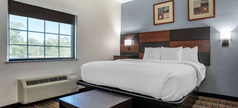 德纳姆德伍德泉酒店(MainStay Suites Denham Springs - Baton Rouge East)图片