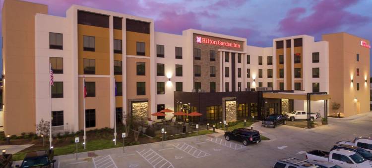 韦科希尔顿花园酒店(Hilton Garden Inn Waco)图片