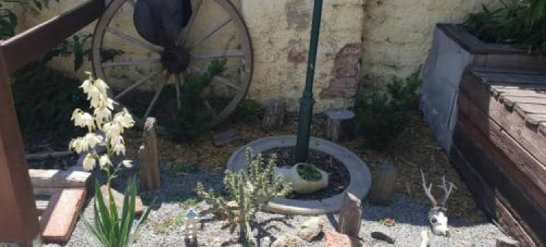 Farm Stay NH Stables图片