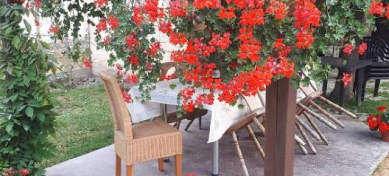 Apartman Kalinka图片