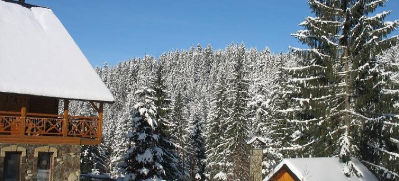 卡帕斯卡别墅(Karpatska Villa)图片