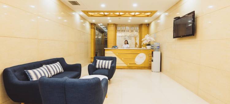 西贡贵族天鹅酒店(The Noble Swan Hotel Saigon)图片