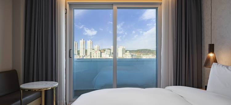 釜山基江布朗点(Busan Gijang Brown Dot)图片