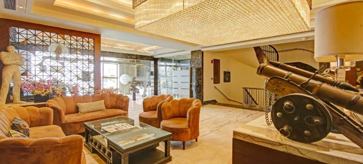 Treebo 高级阿里斯塔(Treebo Premium Arista)图片