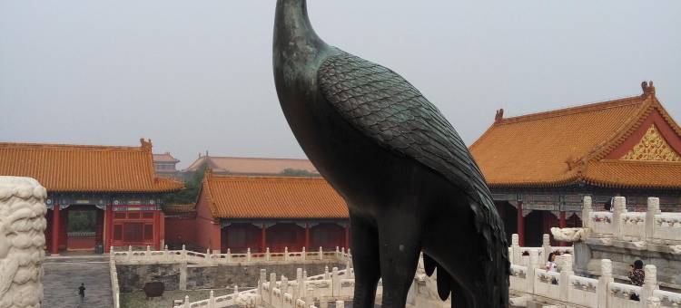 北京十分钟小院(大兴国际机场店)图片