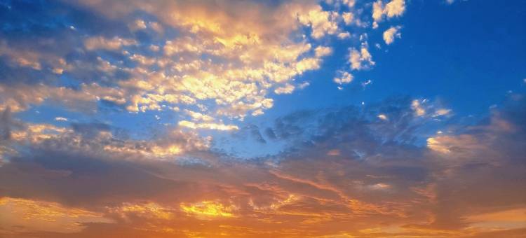 中卫星辰沙海国际民宿(应理南街分店)图片