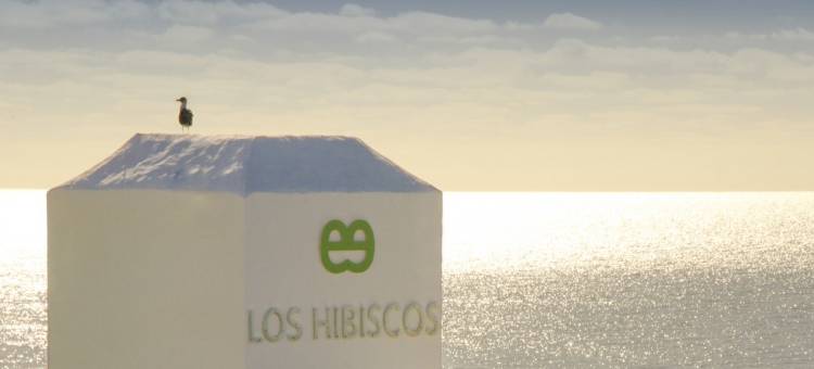 洛斯希比斯科斯埃雷萨公寓酒店 - 仅供成人入住(Ereza Apartamentos Los Hibiscos - Adults Only)图片