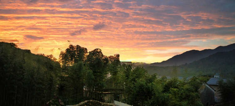 莫干山富鸿山居图片