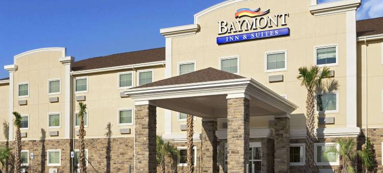 奥德萨呗盟套房酒店(Baymont by Wyndham Odessa)图片