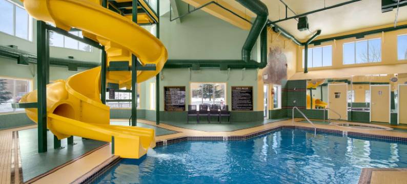 卡尔加里邵尼斯区速8酒店(Super 8 by Wyndham Calgary Shawnessy Area)图片